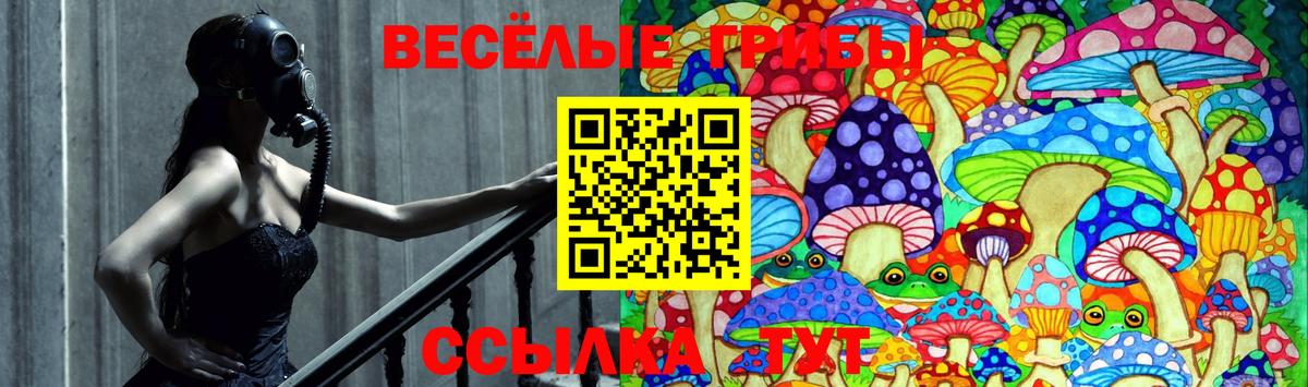 Галлюциногенные грибы мицелий Рубцовск