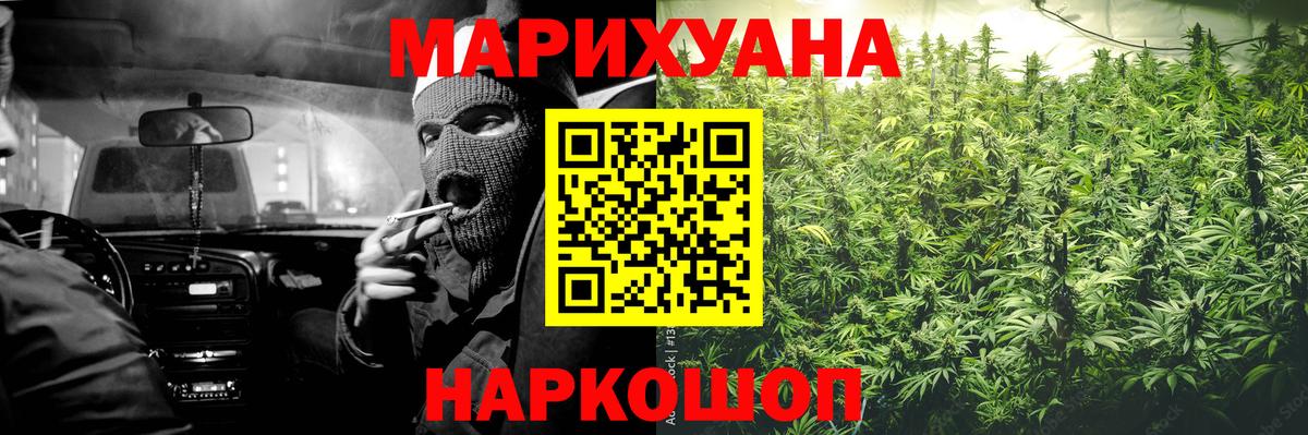 Конопля сатива Рубцовск